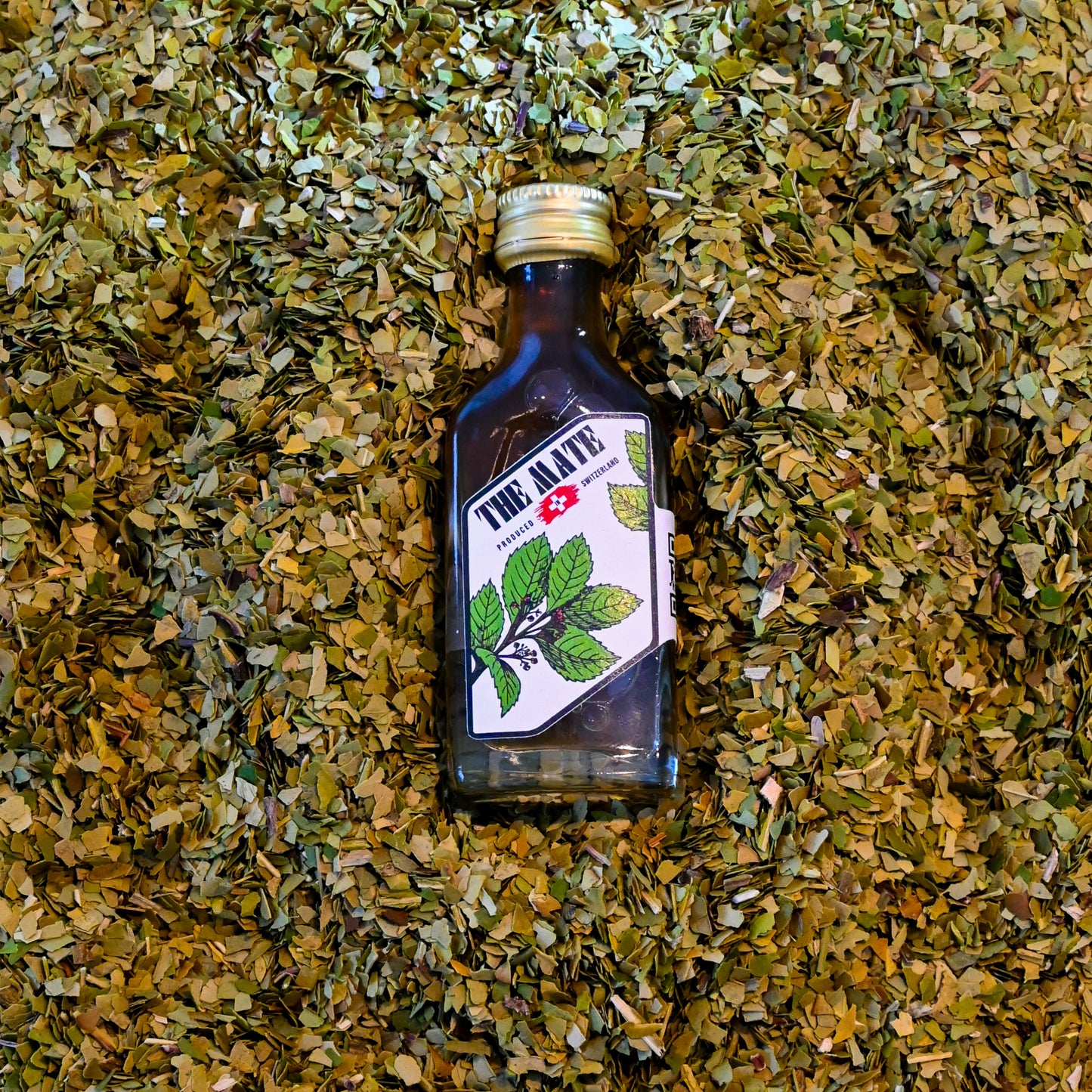 THE MATE-Shots